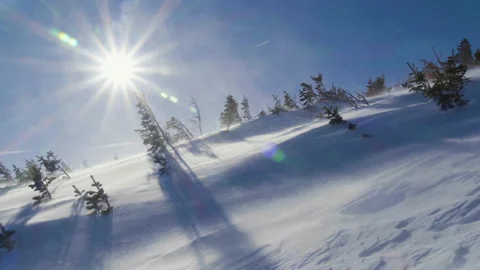 Snow Blowing At Treeline 库存影片 225912343