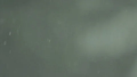 Snow blowing in the wind (60fps) 库存影片 81282448