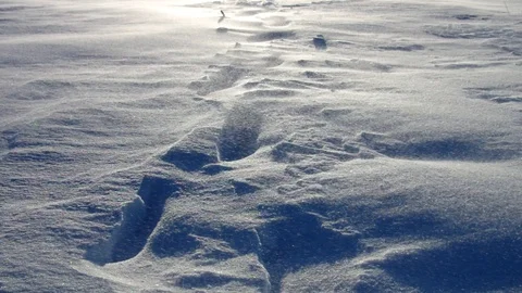 Snow is blowing in the winter Vídeos de archivo 102261580