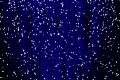 Snow Blue 04 keep falling Loop Footage
