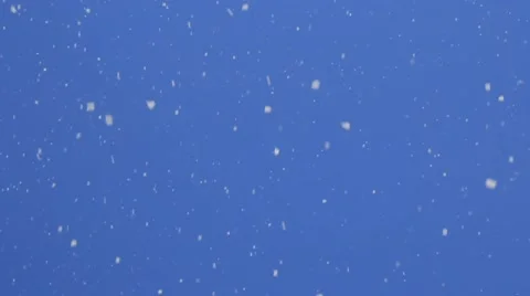 Snow On A Blue Background Video stock 52558371