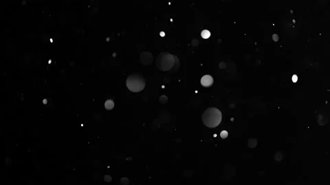 Snow Bokeh Stock Footage 170583179