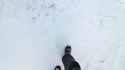 Snow boots walking through the snow during winter time in the midwest. Stock Footage 120488740