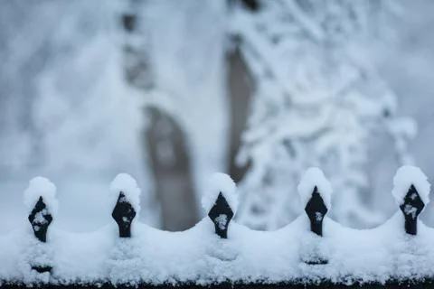 Snow border in the park with space for text Stock Photos