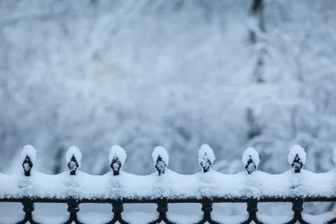 Snow border in the park with space for text Foto stock