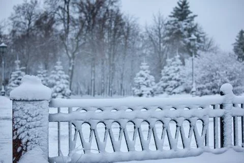 Snow border in the park with space for text Foto stock