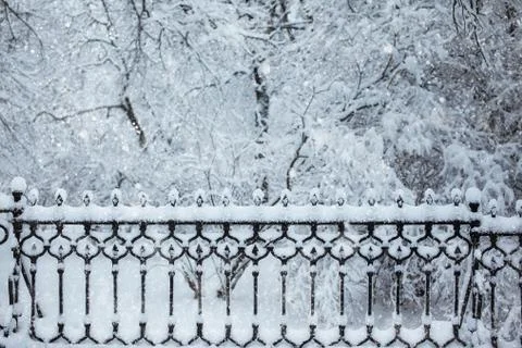 Snow border in the park with space for text Stock Photos