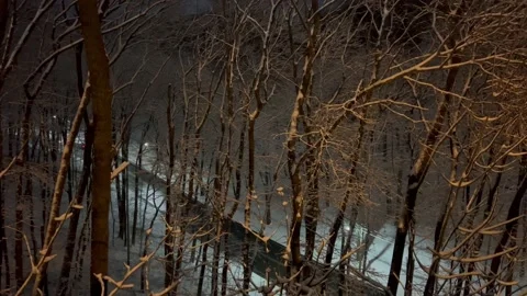 Snow borders quiet roadway near forest Video stock 167281853