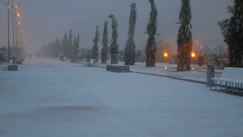 Snow on the boulevard in Batumi Stock Footage 227555130