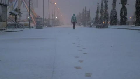 Snow on the boulevard in Batumi Stock Footage 227555133