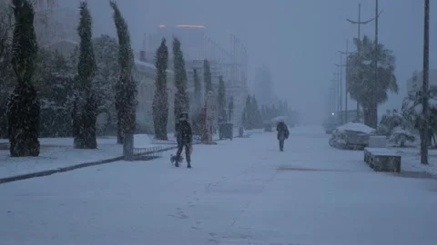 Snow on the boulevard in Batumi Stock Footage 227555146