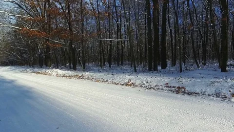 Snow on the branches of trees in the park in winter. Aerial view Stock Footage 70646321