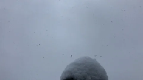 Snow Buddha Stock Footage 101128863