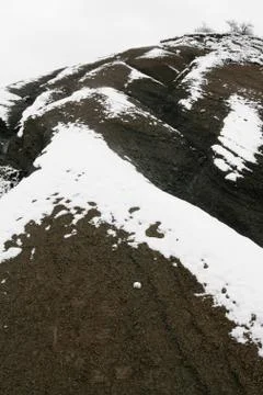 Snow bumpy hill with trees on a light background. Stock Photos