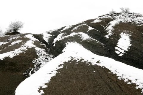 Snow bumpy hill with trees on a light background. Foto stock