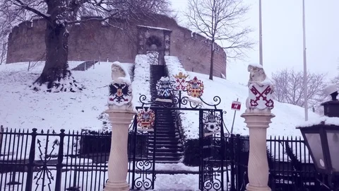 Snow Burcht Leiden Video stock 85802314