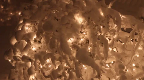 Snow Bush Closeup 動画素材 37112787