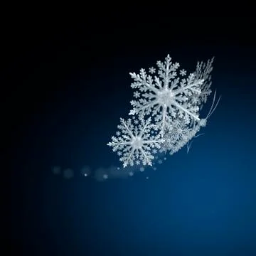 Snow butterfly Stock Illustration