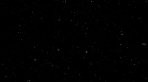 Snow Calm Strait into Camera Video stock 8519945