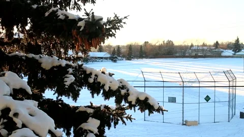 Snow in canada Stock Footage 155898995