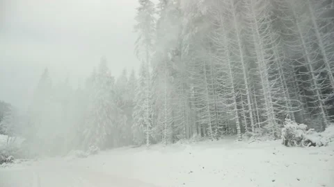 Snow Cannon in the mountains Stock Footage 170773888