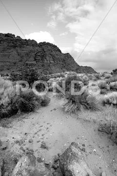 Snow canyon - utah Stock Illustration