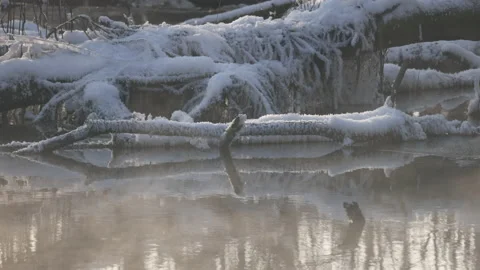 Snow-capped boughs in the water close to it, 4K slow motion Stock Footage 166861561