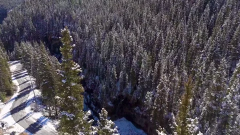 Snow capped forests 動画素材 305702217