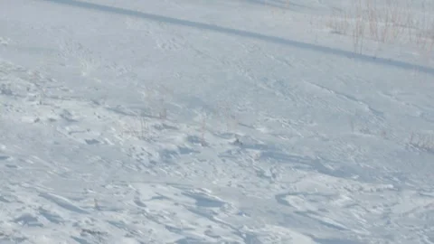 Snow-capped hill on a sunny day 1 Video stock 330201208
