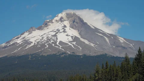 Snow-capped Mount Hood above dense Oregon evergreen forest Stock Footage 345308423