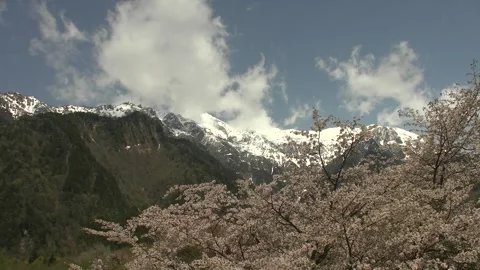 Snow-Capped Mount Kasagatake with Blooming Cherry Blossoms, Japan Vídeo Stock 345030970