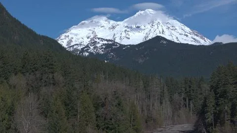 Snow-Capped Mount Rainier Overlooking a Forested Valley Stock Photos