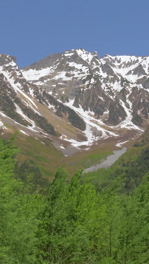Snow Capped Mountain Above Fresh Green Trees Vertical Video Stock-Footage 346002793