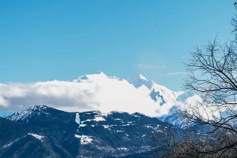 Snow-capped mountain. in the foreground branches of a dry tree Stock Photos