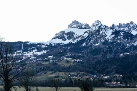 Snow-capped mountain. in the foreground branches of a dry tree Stock Photos