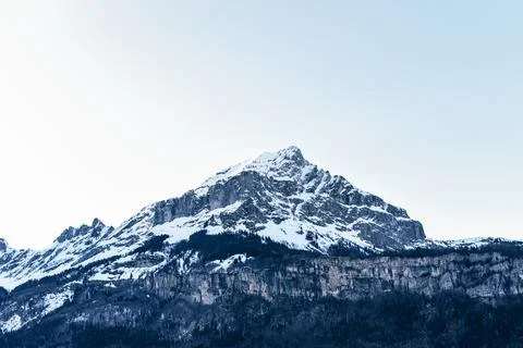 Snow-capped mountain. in the foreground branches of a dry tree Stock Photos