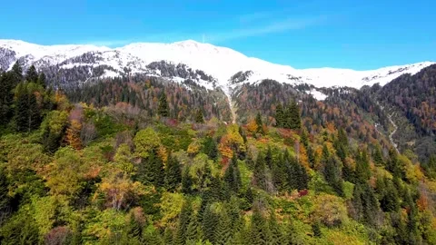 Snow capped mountain peak above colorful autumn forest Stock-Footage 341328456
