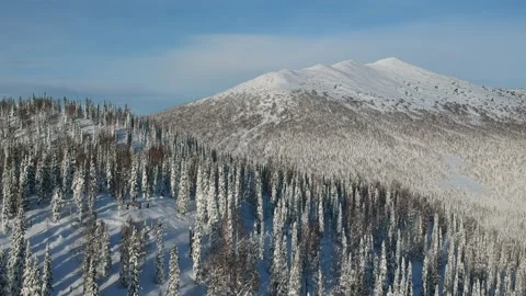 Snow-capped mountain peak and beautiful winter forest. Vidéo 169022174