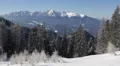 Snow Capped Mountain Peak Fir Tree Forest Landscape Snowy Cover Xmas Background HD Footage