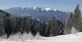 Snow Capped Mountain Peak Fir Tree Forest Landscape Snowy Cover Xmas Background 4k or 4k+ Resolution