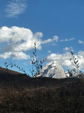 Snow Capped Mountain Peak Framed By Tree Branches Near Jiuzhaigou Stock Photos