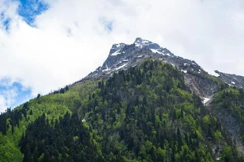 Snow-capped mountain peak rises above lush green forest under a partly cloudy Stock Photos