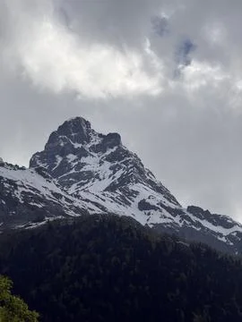 Snow-capped mountain peak rises above green forest under a cloudy sky in a Stock Photos