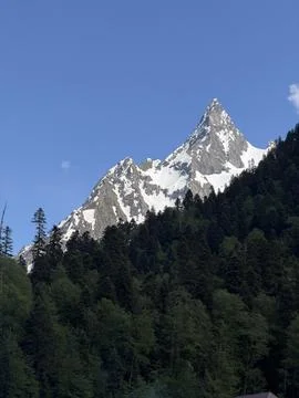 Snow-capped mountain peak rises above lush green forest under a clear blue sky Fotos Stock