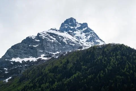 Snow-capped mountain peak rises above lush green forest under cloudy sky in a Stock Photos