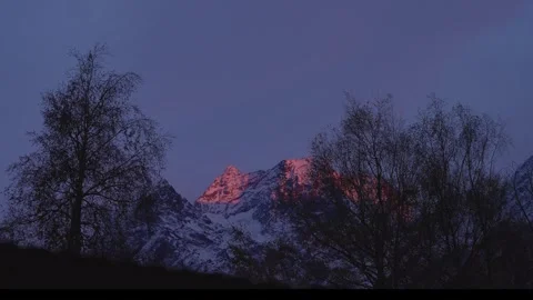 Snow-capped mountain peak at sunset with silhouettes of trees Stock Footage 310230204