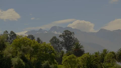 Snow capped mountain peaks behind green trees, mountain Tunrari Bolivia Видео 340148638
