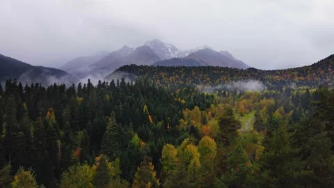 Snow capped mountain peaks beyond the forest Stock Footage 228681770