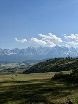 Snow-capped mountain range with expansive valley, grassland, and scattered everg Stock Photos