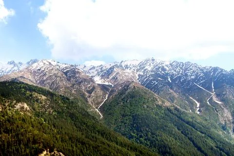 Snow-Capped Mountain Range with Green Forest Hills Stock Photos